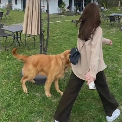 外科医生马丁 第三季